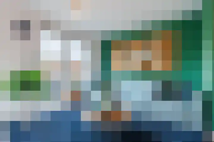 Penningkruid 27 Bodegraven thumbnail 13