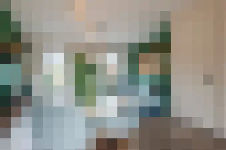 Penningkruid 27 Bodegraven thumbnail 17