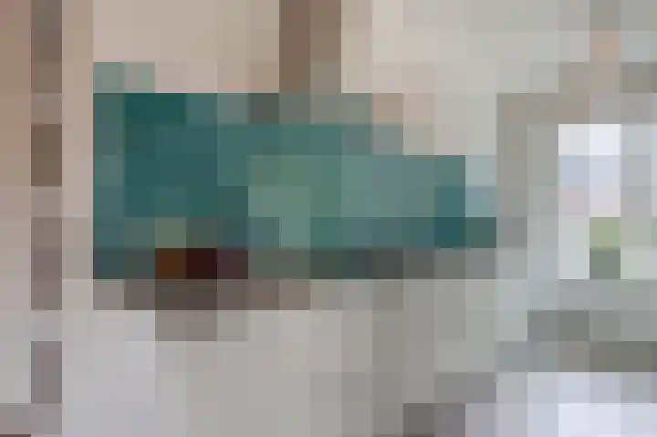 Penningkruid 27 Bodegraven thumbnail 18