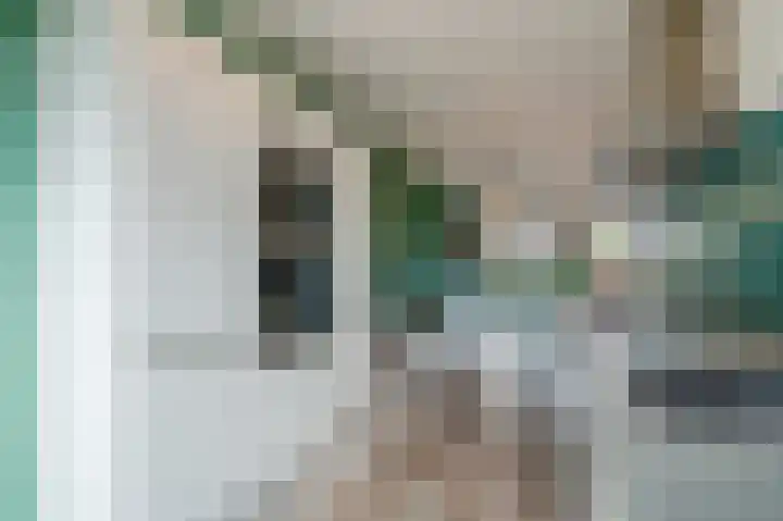 Penningkruid 27 Bodegraven thumbnail 20