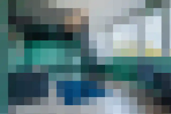 Penningkruid 27 Bodegraven thumbnail 23