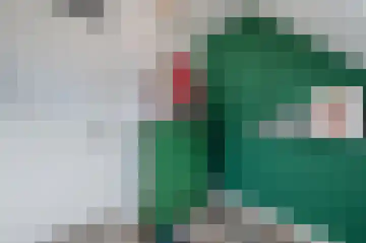 Penningkruid 27 Bodegraven thumbnail 27