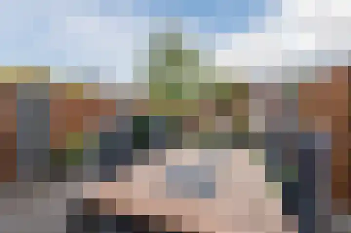 Penningkruid 27 Bodegraven thumbnail 40