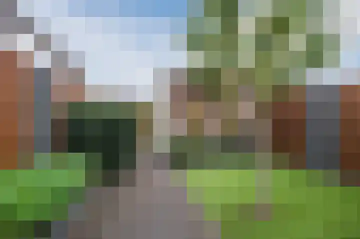 Penningkruid 27 Bodegraven thumbnail 41