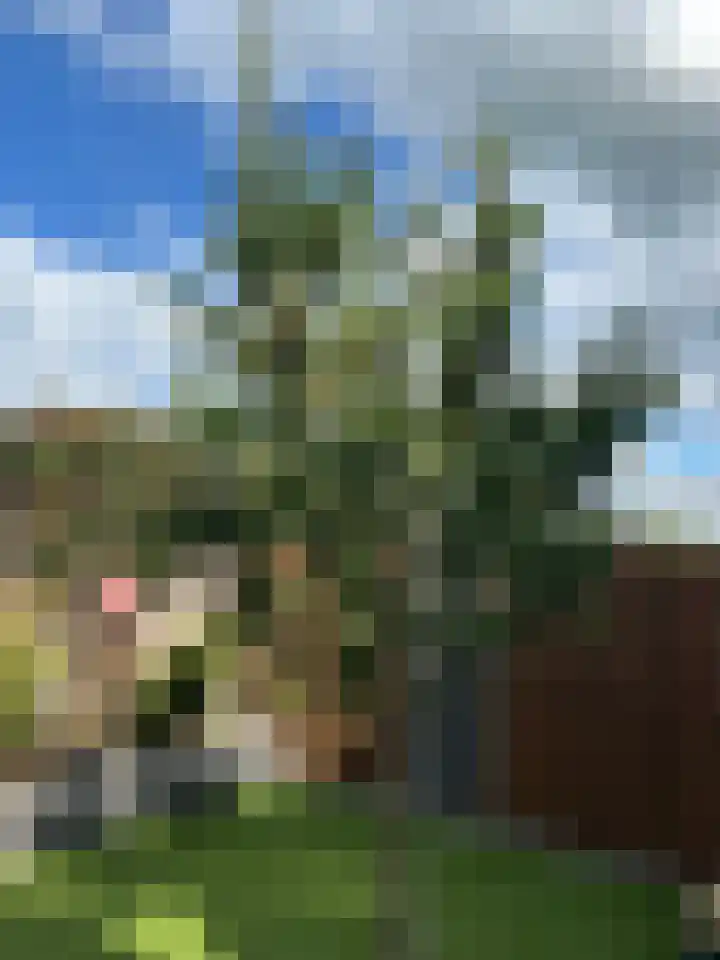 Penningkruid 27 Bodegraven thumbnail 42