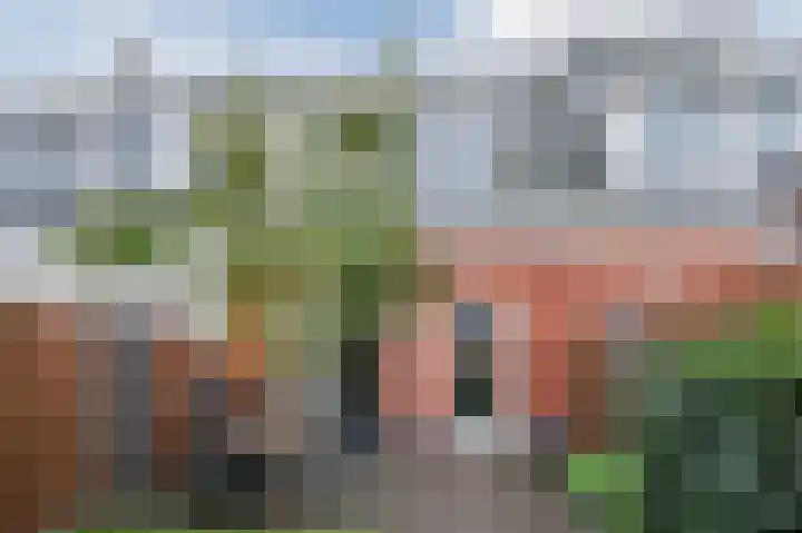 Penningkruid 27 Bodegraven thumbnail 43