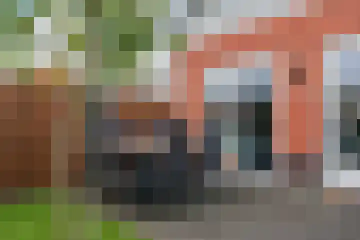 Penningkruid 27 Bodegraven thumbnail 44