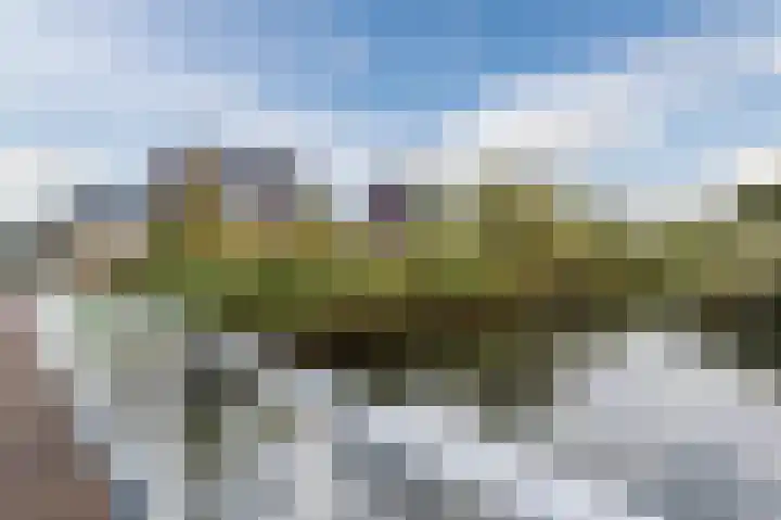 Penningkruid 27 Bodegraven thumbnail 46