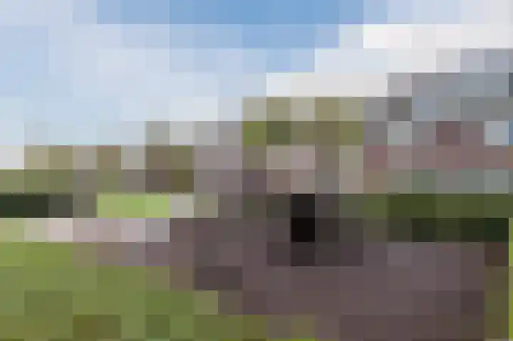 Penningkruid 27 Bodegraven thumbnail 47