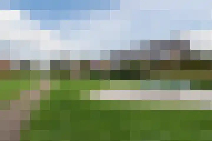 Penningkruid 27 Bodegraven thumbnail 48