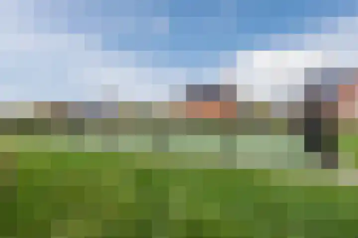 Penningkruid 27 Bodegraven thumbnail 49