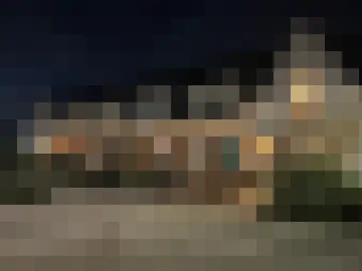 Penningkruid 27 Bodegraven thumbnail 6