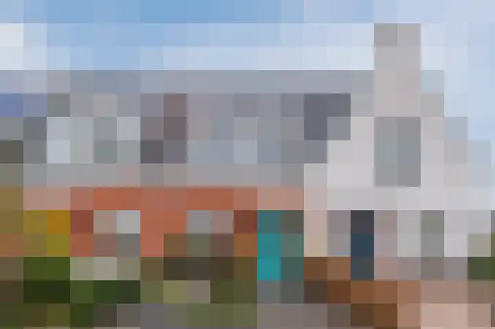 Penningkruid 27 Bodegraven thumbnail 8
