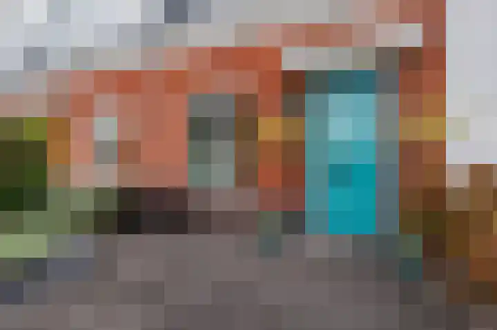 Penningkruid 27 Bodegraven thumbnail 9