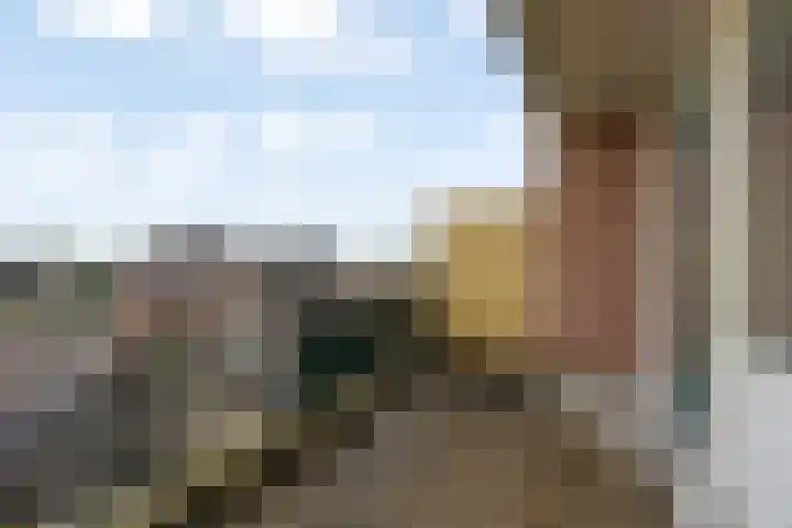 Penningkruid 28 Nieuwerkerk aan den IJssel thumbnail 20