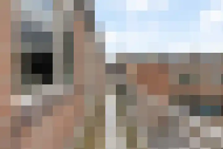 Penningkruid 28 Nieuwerkerk aan den IJssel thumbnail 23