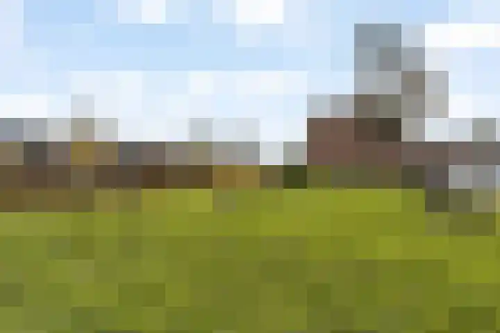 Penningkruid 28 Nieuwerkerk aan den IJssel thumbnail 29