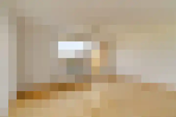 Penningkruid 28 Nieuwerkerk aan den IJssel thumbnail 4