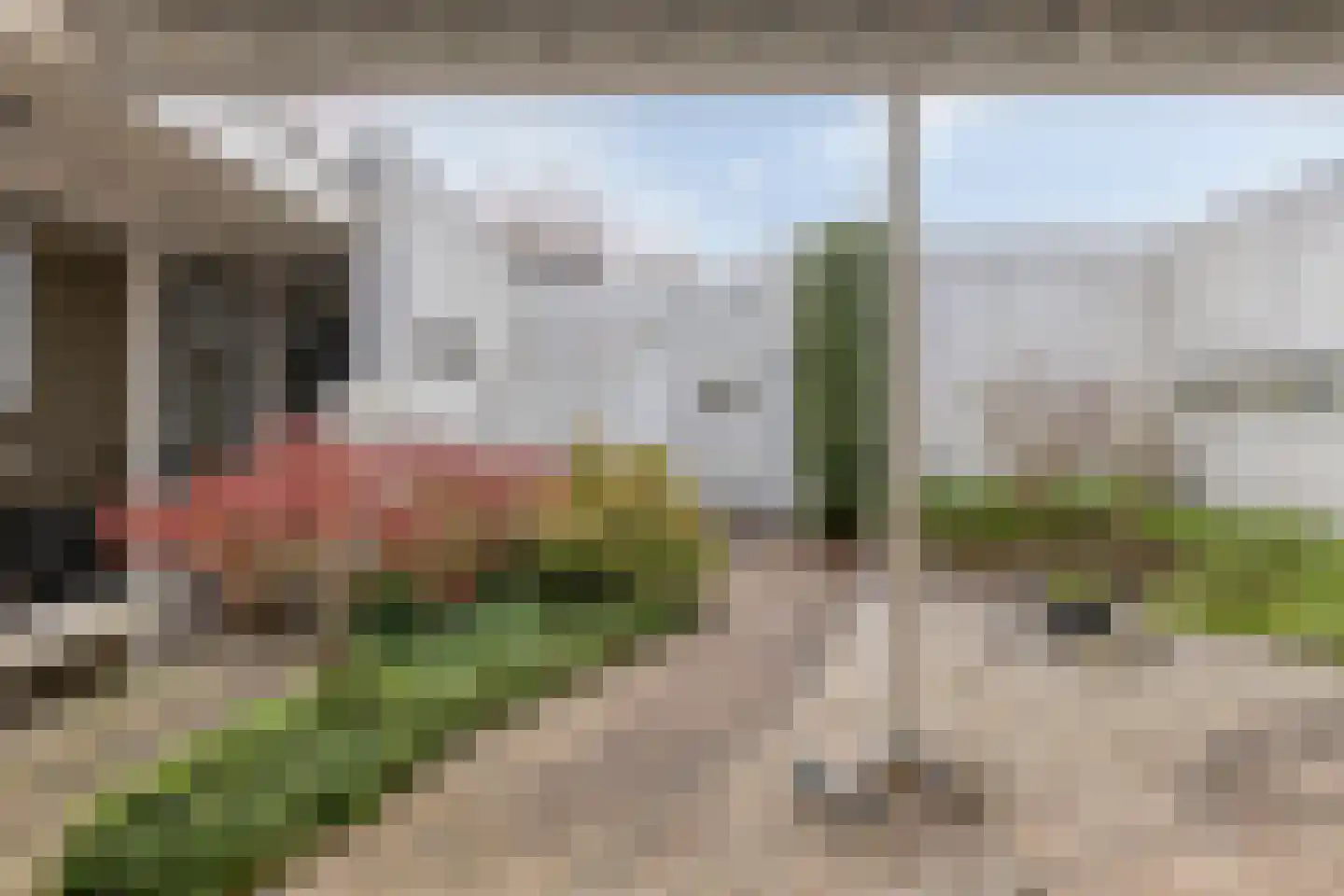 Penningkruid 32 A Venray thumbnail 31