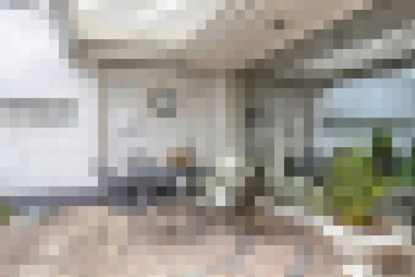 Penningkruid 32 A Venray thumbnail 32