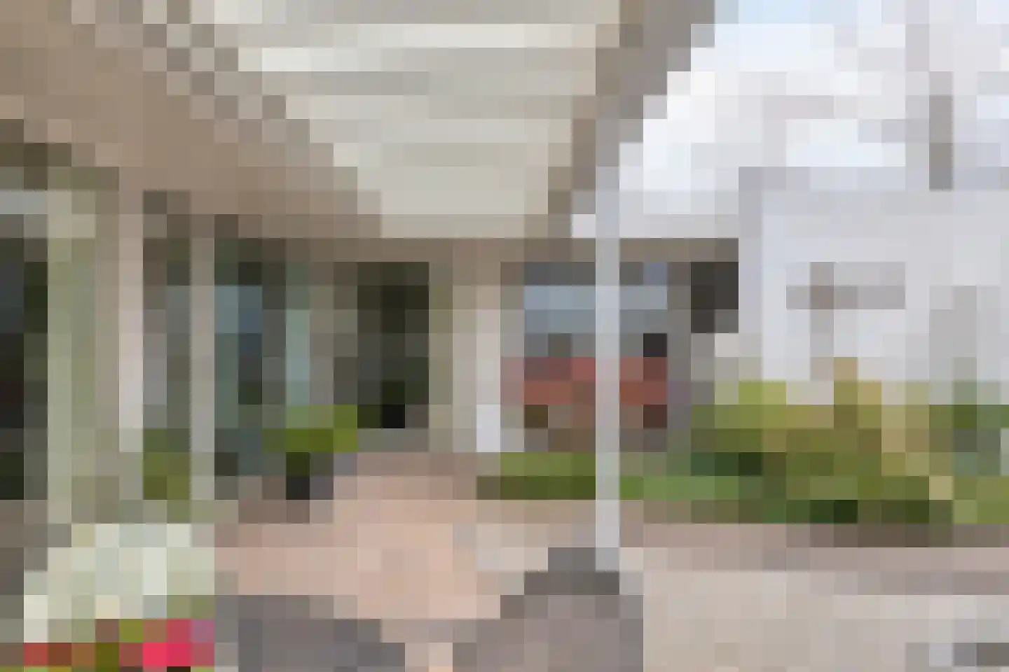 Penningkruid 32 A Venray thumbnail 33