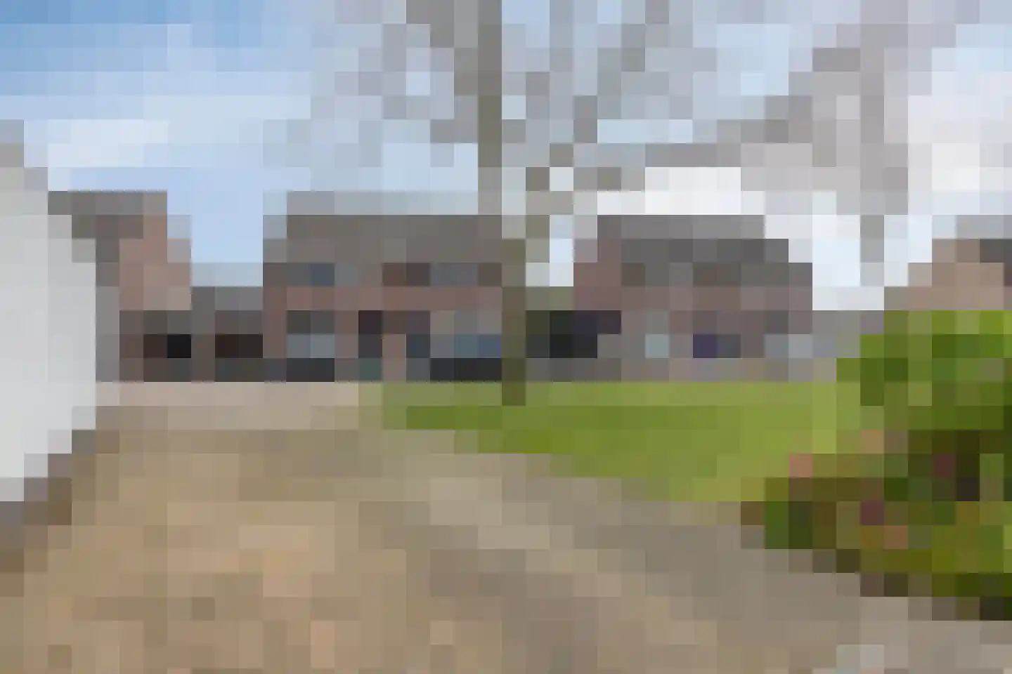 Penningkruid 32 A Venray thumbnail 37