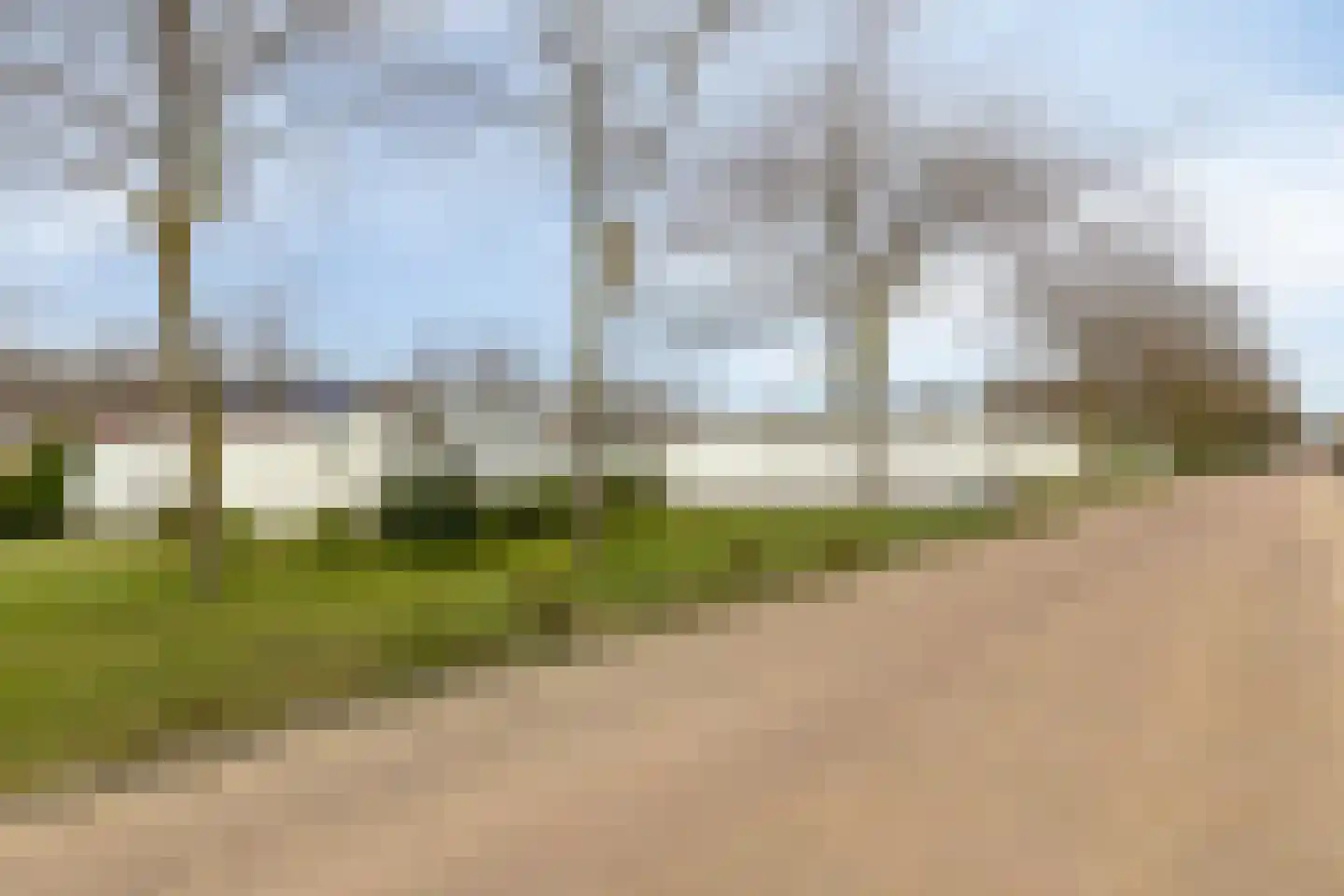 Penningkruid 32 A Venray thumbnail 38