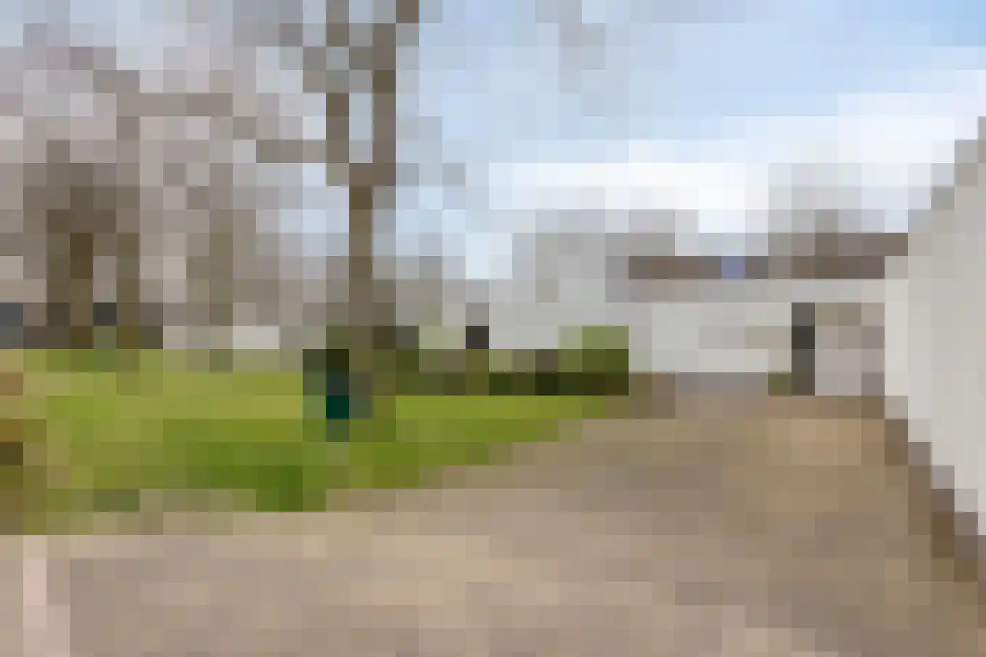 Penningkruid 32 A Venray thumbnail 4