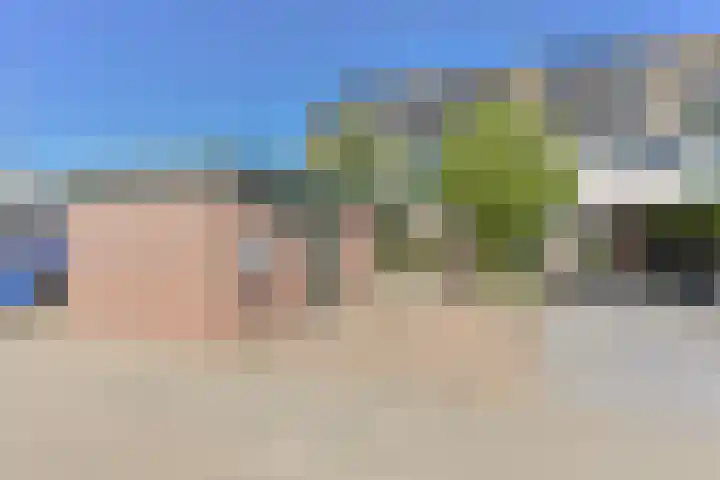 Penningkruid 39 in Kampen