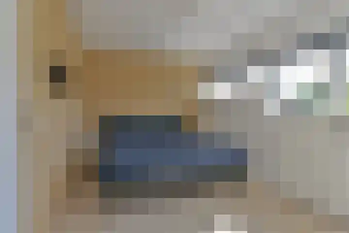 Penningkruid 39 Kampen thumbnail 26