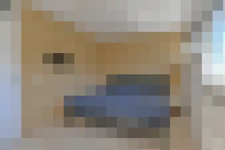 Penningkruid 39 Kampen thumbnail 27
