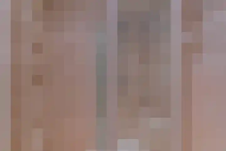 Penningkruid 39 Kampen thumbnail 31