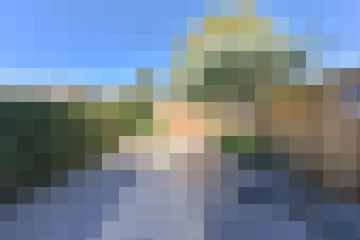 Penningkruid 39 Kampen thumbnail 41