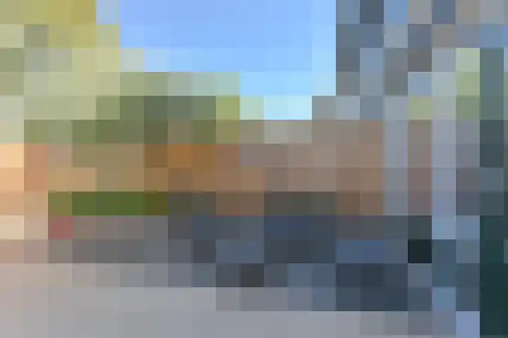 Penningkruid 39 Kampen thumbnail 42