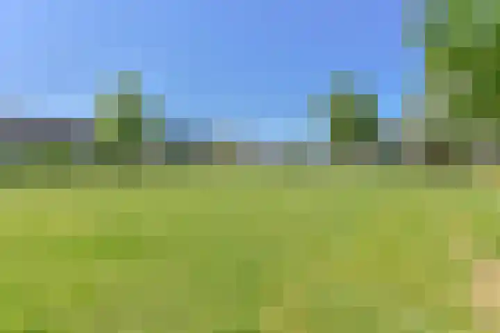 Penningkruid 39 Kampen thumbnail 47