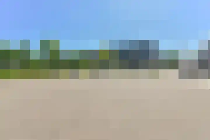 Penningkruid 39 Kampen thumbnail 49
