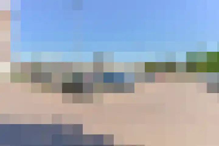Penningkruid 39 Kampen thumbnail 50
