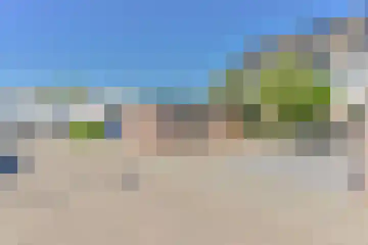 Penningkruid 39 Kampen thumbnail 55