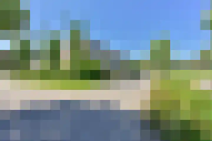 Penningkruid 39 Kampen thumbnail 56