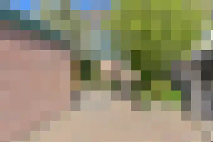 Penningkruid 39 Kampen thumbnail 6