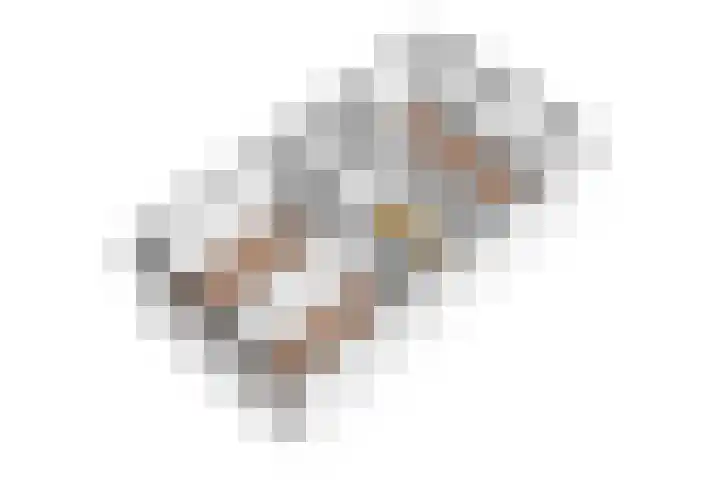 Penningkruid 39 Kampen thumbnail 61