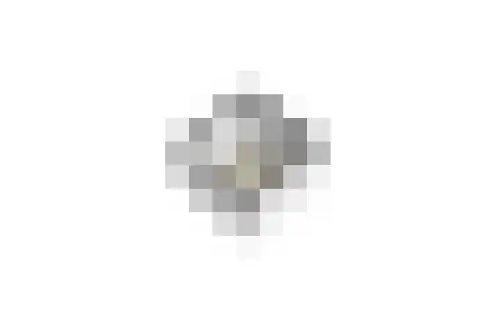 Penningkruid 39 Kampen thumbnail 67