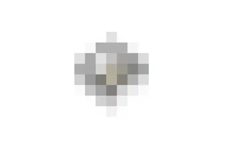 Penningkruid 39 Kampen thumbnail 69