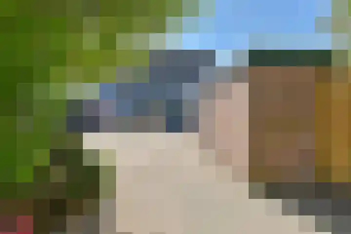Penningkruid 39 Kampen thumbnail 7