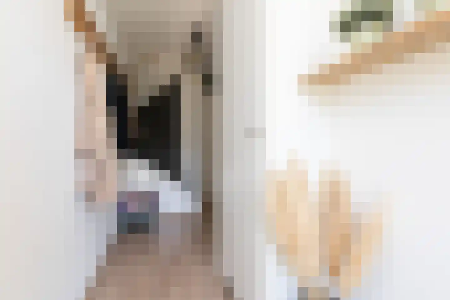 Penningkruid 39 Sneek thumbnail 13