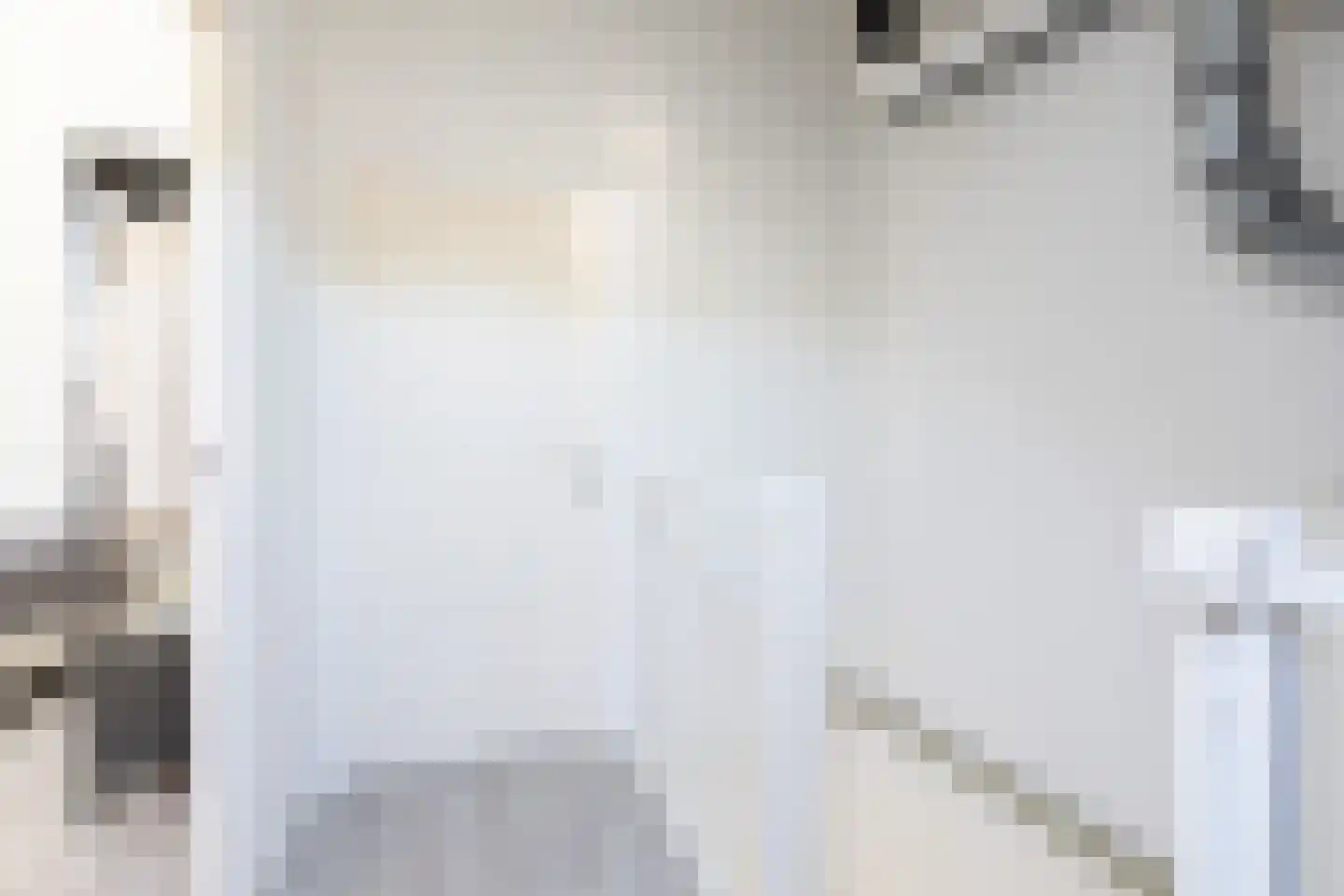Penningkruid 39 Sneek thumbnail 25