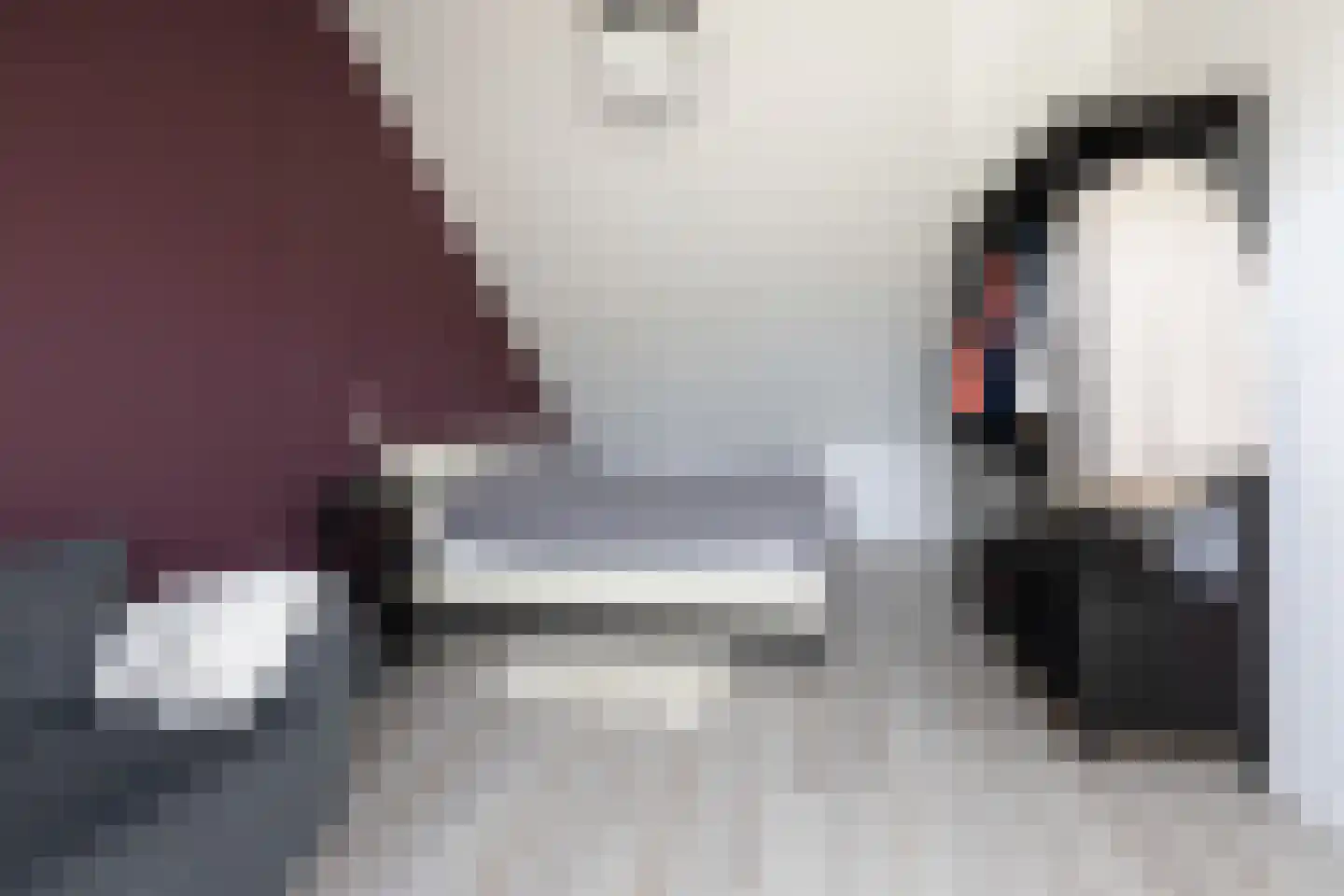 Penningkruid 39 Sneek thumbnail 26