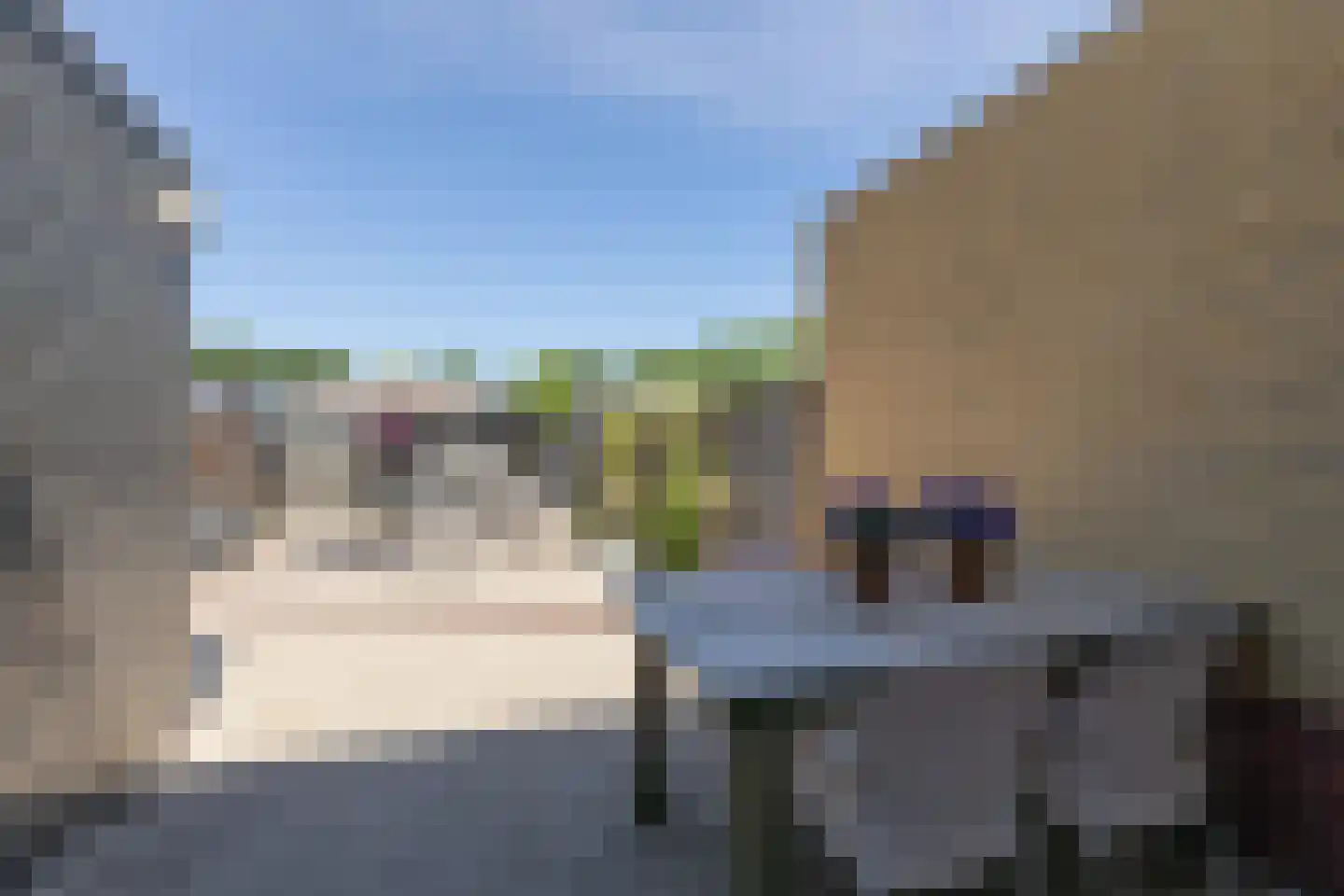 Penningkruid 39 Sneek thumbnail 30