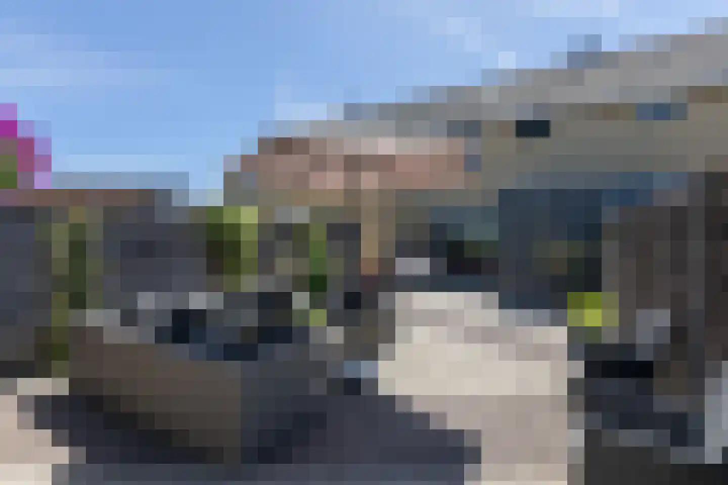 Penningkruid 39 Sneek thumbnail 31
