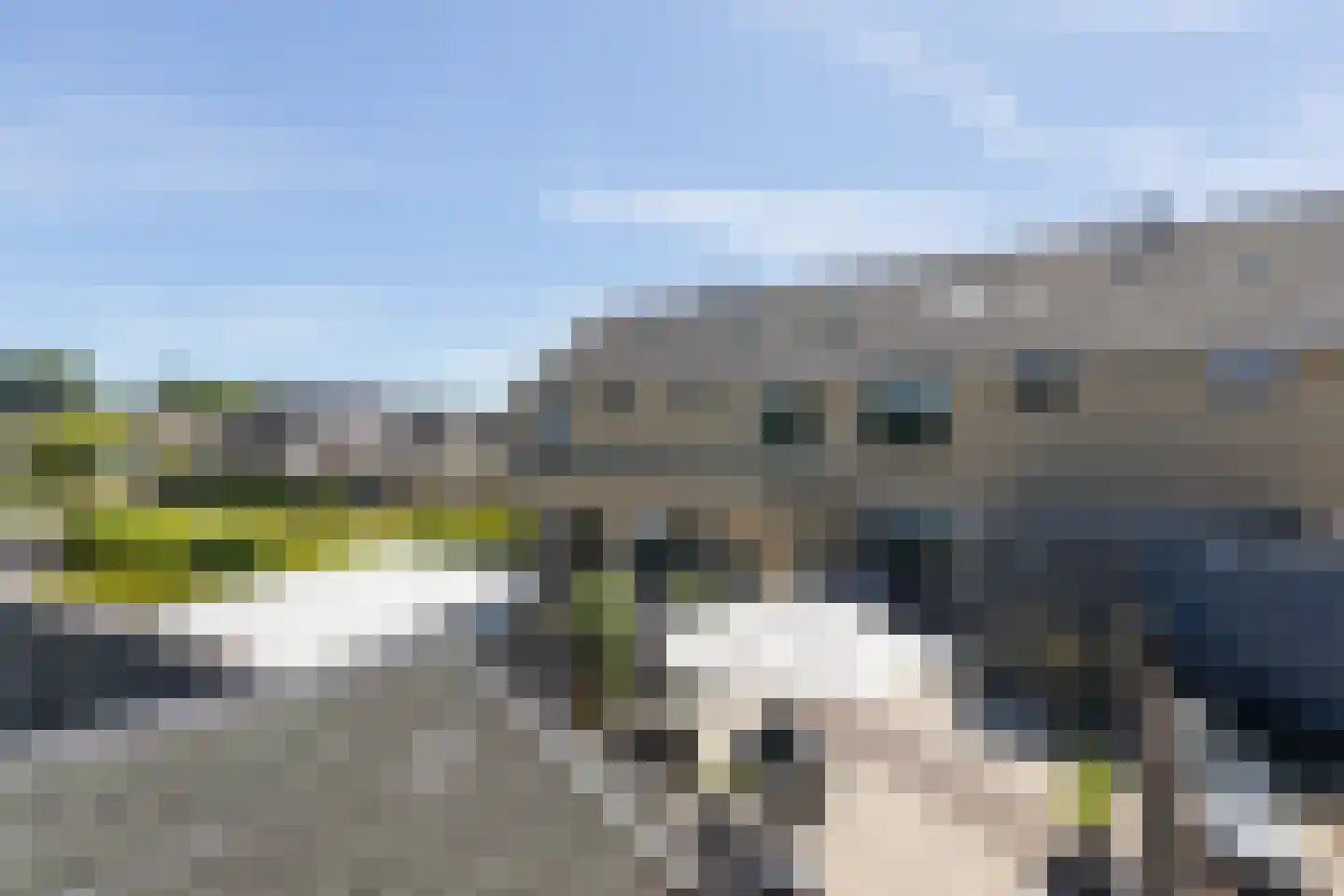 Penningkruid 39 Sneek thumbnail 35